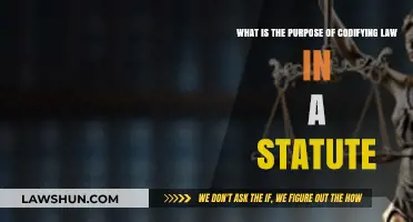 Codifying Law: The Purpose and Power of Statutes in Society