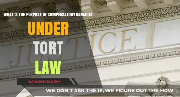 Understanding Compensatory Damages: Purpose and Role in Tort Law Explained