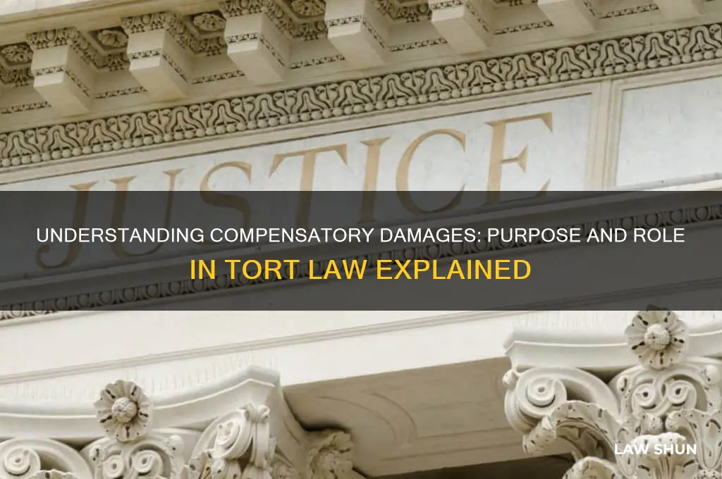what is the purpose of compensatory damages under tort law