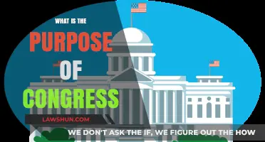 Understanding the Role and Responsibilities of the U.S. Congress