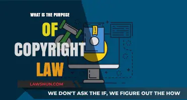 Understanding Copyright Law: Protecting Creativity and Intellectual Property Rights