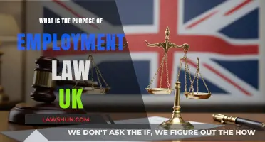 Employment Law UK: Understanding Your Workplace Rights