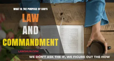 Understanding God's Law: Purpose, Commandments, and Divine Guidance
