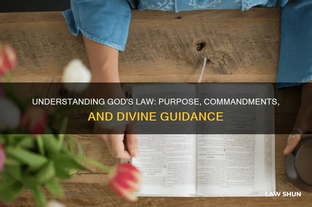 what is the purpose of god