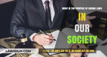 Why Laws Matter: The Purpose and Impact on Society