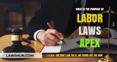 Understanding the Purpose of Labor Laws: Apex Explained