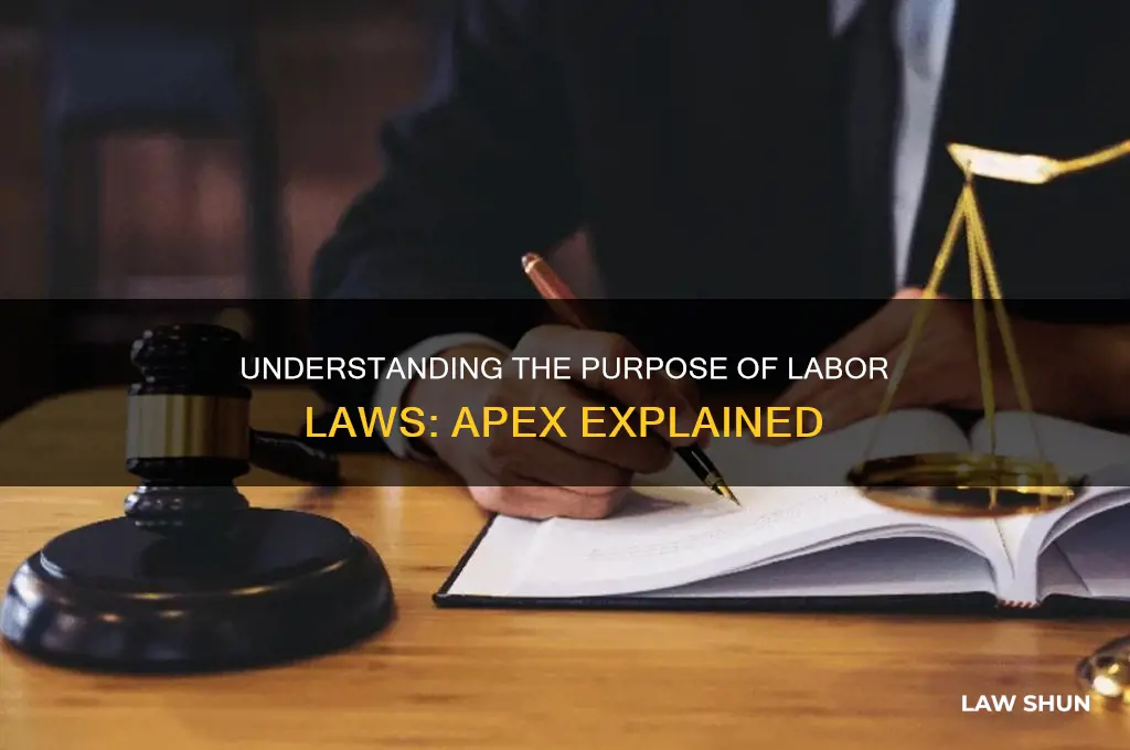 what is the purpose of labor laws apex
