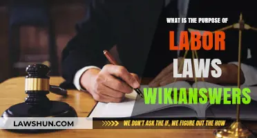 Understanding the Purpose of Labor Laws: A WikiAnswers Guide