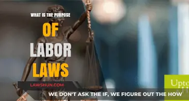 Understanding Labor Laws: Protecting Workers' Rights and Ensuring Fair Employment Practices