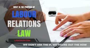 Understanding Labour Relations Law: Purpose, Impact, and Workplace Harmony
