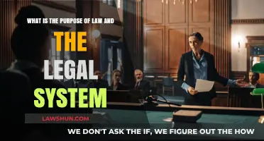 Understanding Law's Purpose: The Role of Legal Systems in Society