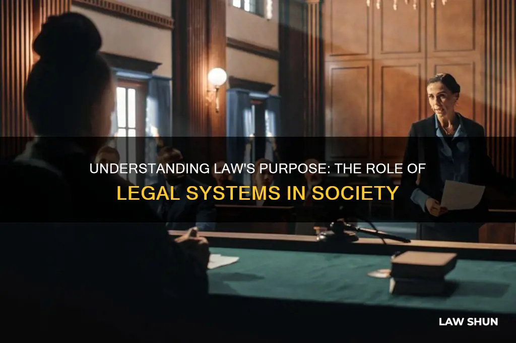 what is the purpose of law and the legal system