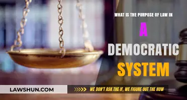 Upholding Justice: The Role of Law in Democratic Governance