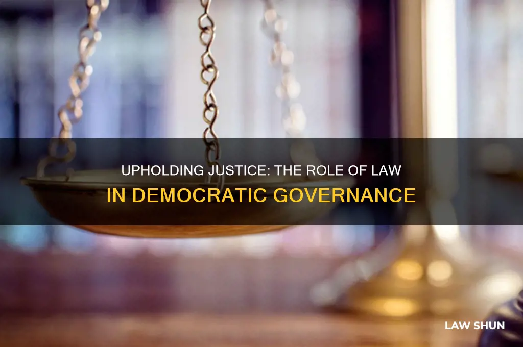 what is the purpose of law in a democratic system