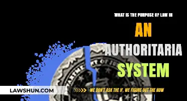 Law's Role in Authoritarian Regimes: Control, Legitimacy, and Power Dynamics