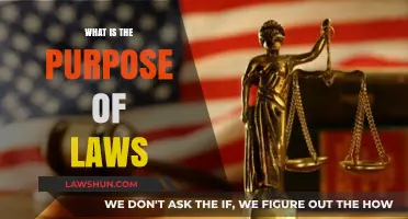 Understanding the Foundation: The Essential Purpose of Laws