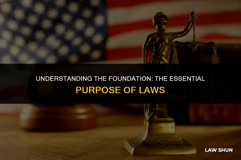 what is the purpose of laws