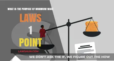 Understanding Minimum Wage Laws: Purpose, Impact, and Importance Explained