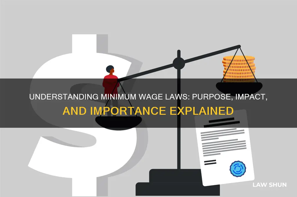 what is the purpose of minimum wage laws 1 point