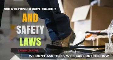 Understanding Occupational Health and Safety Laws: Purpose and Importance