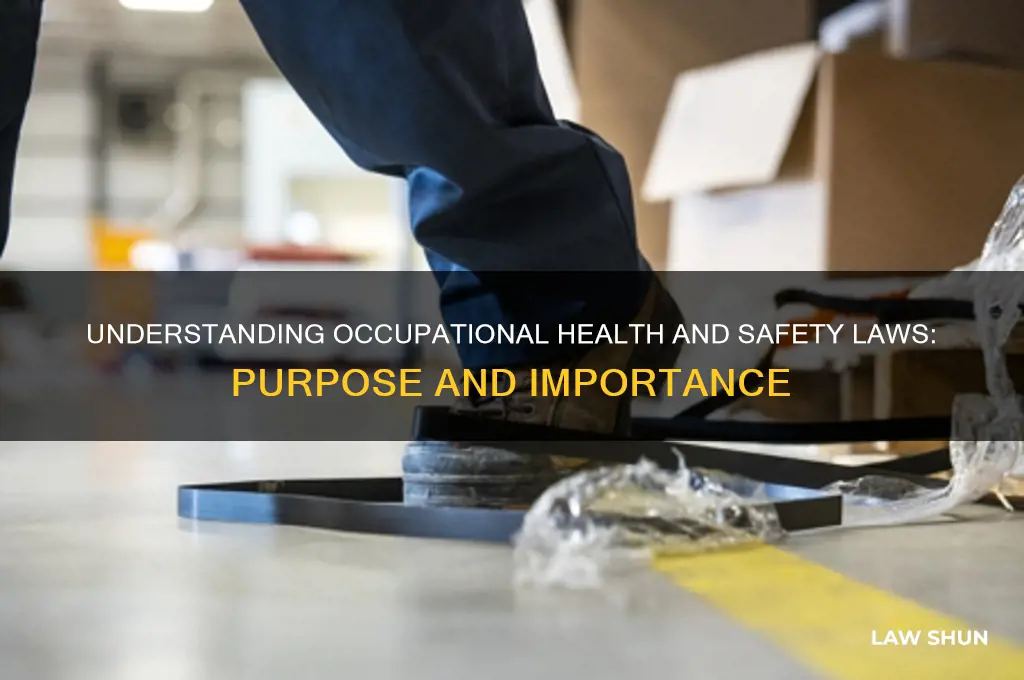 what is the purpose of occupational health and safety laws
