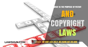 Protecting Innovation: Understanding the Purpose of Patent and Copyright Laws