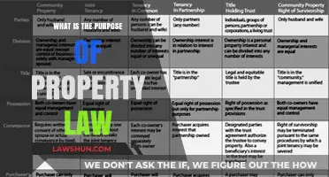 Understanding Property Law: Its Purpose and Impact on Ownership Rights