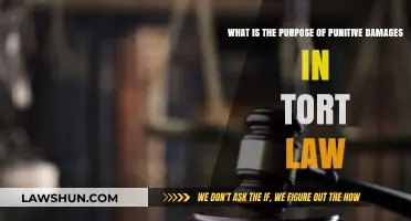 Punitive Damages in Tort Law: Purpose, Impact, and Legal Implications