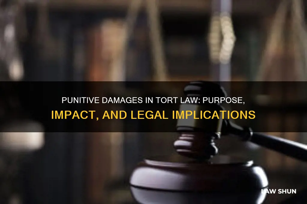 what is the purpose of punitive damages in tort law