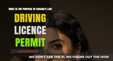 Understanding Susana's Law: Purpose and Impact on Driving Licence Permits