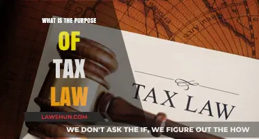 Understanding Tax Law: Why Do We Pay Taxes?