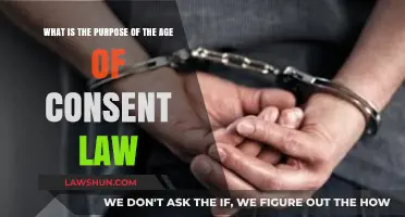 Understanding the Age of Consent Law: Protecting Minors and Defining Boundaries