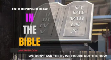 Biblical Law's Purpose: Guiding Faith, Justice, and Righteous Living