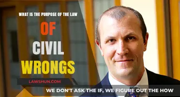 Understanding the Purpose of Civil Wrongs Law: Justice and Compensation