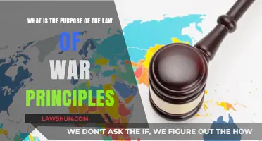 Understanding the Purpose of Law of War Principles
