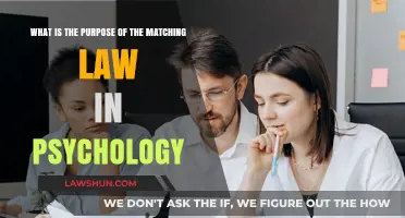 Understanding the Matching Law: Psychology's Role in Behavior and Choice