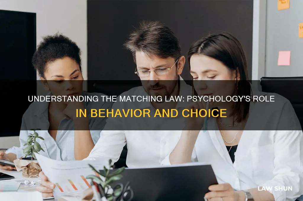 what is the purpose of the matching law in psychology