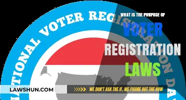 Understanding Voter Registration Laws: Purpose, Impact, and Importance in Democracy
