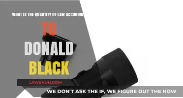 Donald Black's Theory on the Quantity of Law Explained