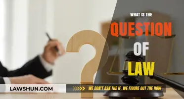 Exploring the Essence: What Constitutes a Question of Law?