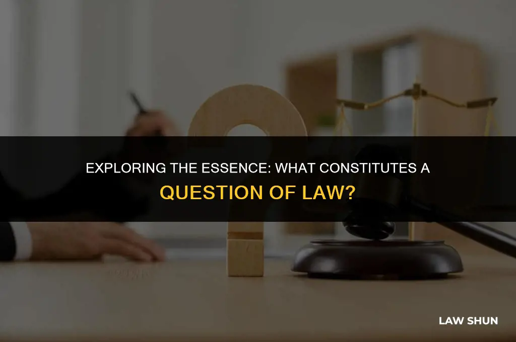what is the question of law