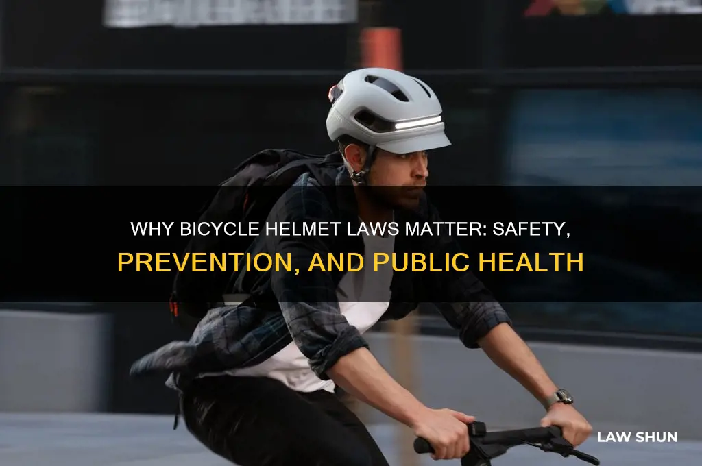 what is the rationale behind having a bicycle helmet law