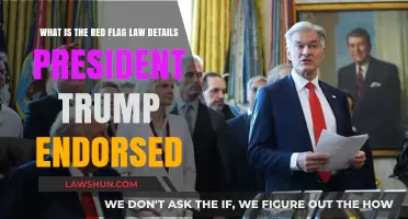 Trump-Backed Red Flag Laws: Understanding the Controversial Gun Control Details