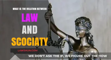Law and Society: Understanding Their Interconnected Roles and Impact