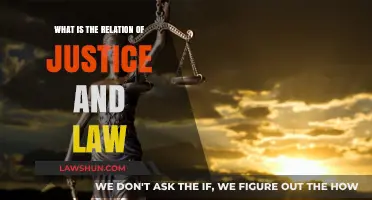 Justice and Law: Exploring Their Interconnected Role in Society