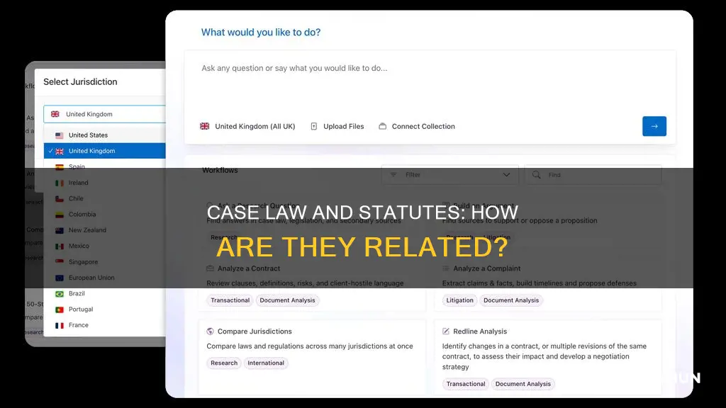 what is the relationship between case law and statutes
