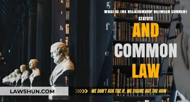 Common Law and Statute Law: How Are They Related?