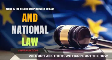 EU Law vs. National Law: Understanding Their Complex Relationship