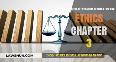 Exploring the Complex Relationship Between Law and Ethics in Chapter 3