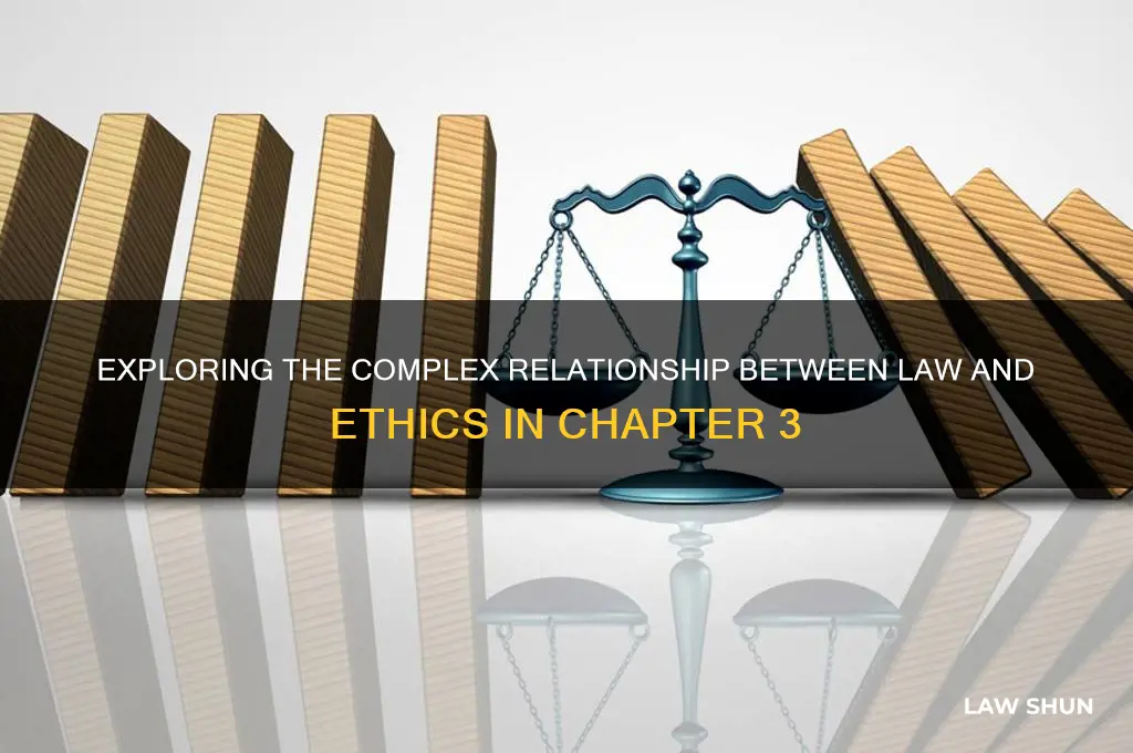 what is the relationship between law and ethics chapter 3